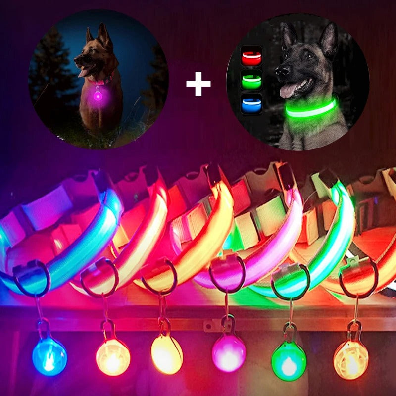 Collar Brillante LED USB Mascotas