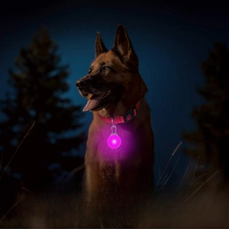 Collar Brillante LED USB Mascotas