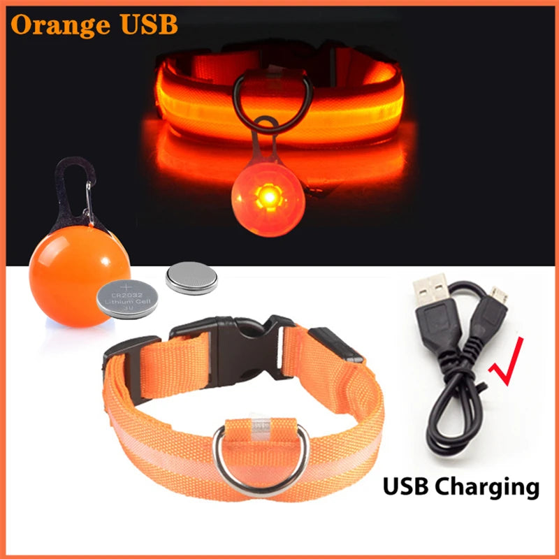 Collar Brillante LED USB Mascotas