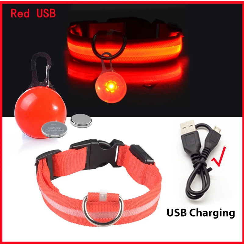 Collar Brillante LED USB Mascotas