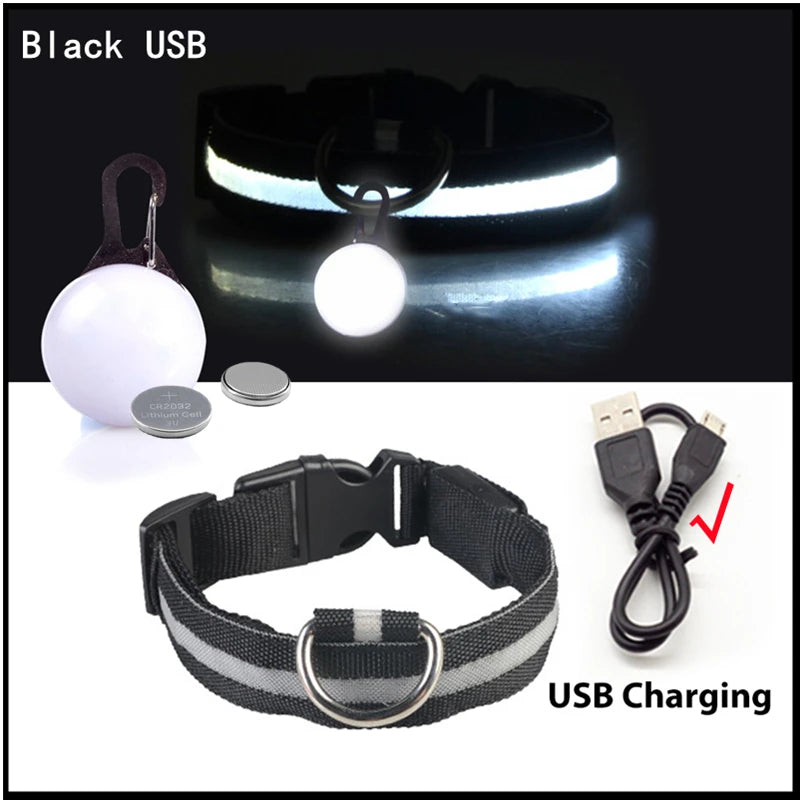 Collar Brillante LED USB Mascotas