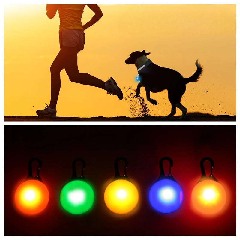 Collar Brillante LED USB Mascotas