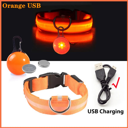 Collar Brillante LED USB Mascotas