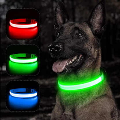 Collar Brillante LED USB Mascotas