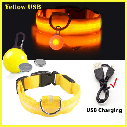 Collar Brillante LED USB Mascotas