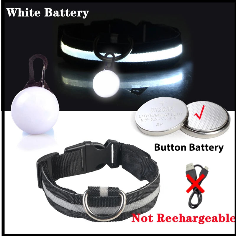 Collar Brillante LED USB Mascotas