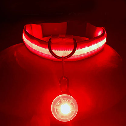Collar Brillante LED USB Mascotas